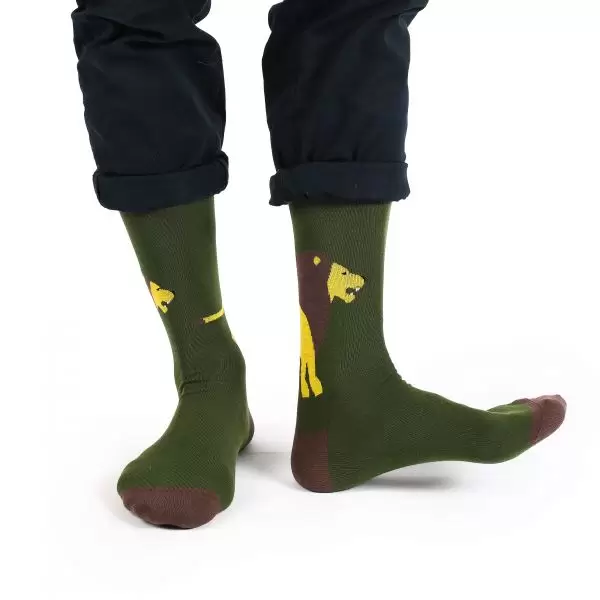 Tezido Premium Т2861, мужские носки (изображение 1)