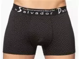 Salvador Dali SD2053-1, трусы мужские боксеры (изображение 1)