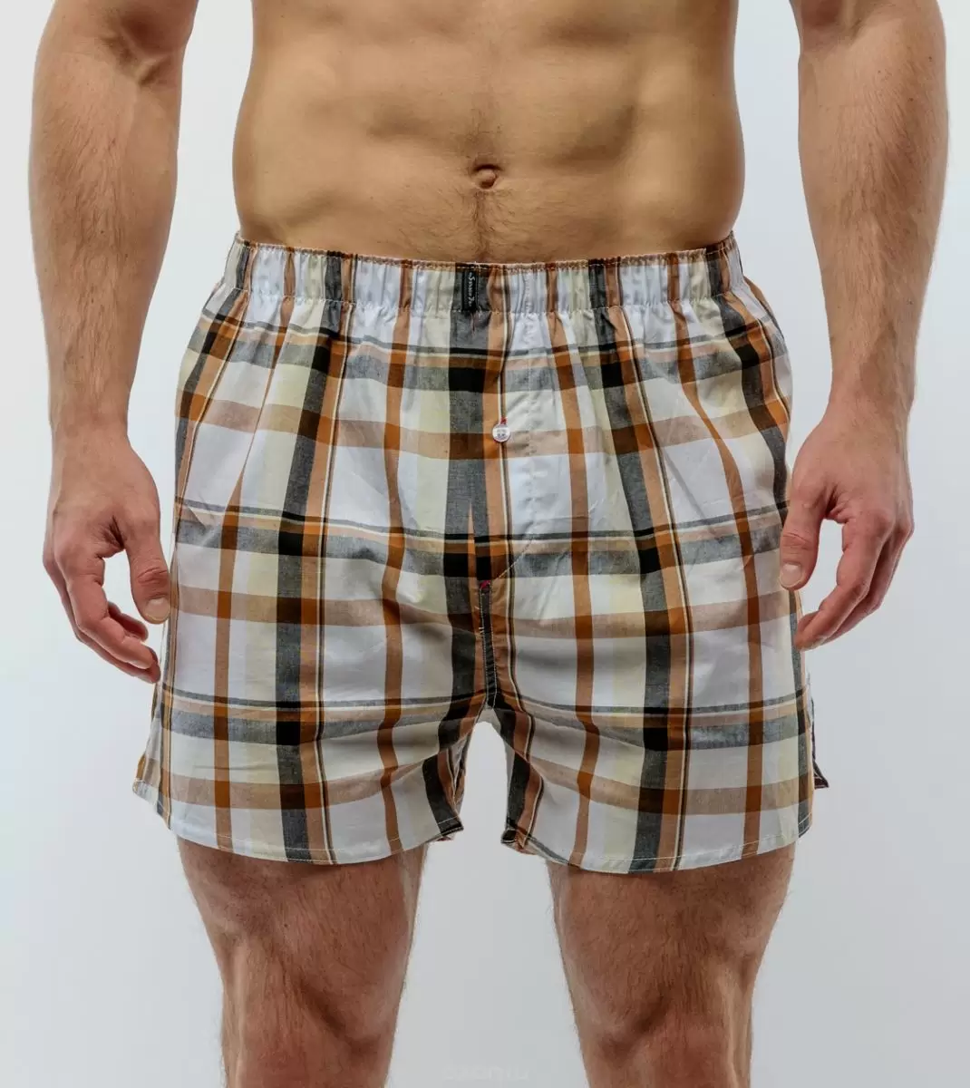 Salvador Dali SD3310-10, трусы мужские шорты (изображение 1)