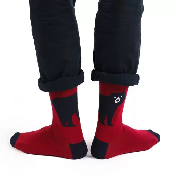 Tezido Premium Т2859, мужские носки (изображение 1)