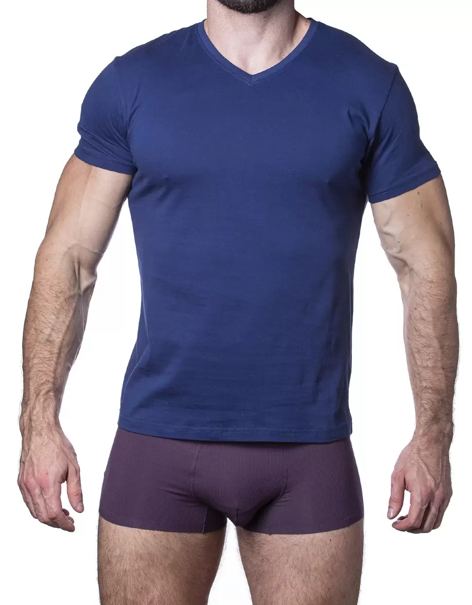 Sergio Dallini SDT751-4, футболка мужская (изображение 1)