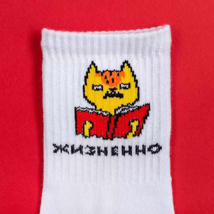 KAFTAN Кот, мужские носки (изображение 4)