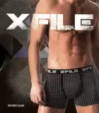X FILE GUSS BOXER, трусы боксеры (изображение 1)